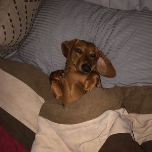 Meet your Posher, Melody